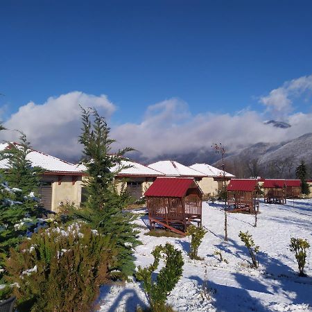 Bliss Inn Boutique Hotel Qəbələ Zewnętrze zdjęcie