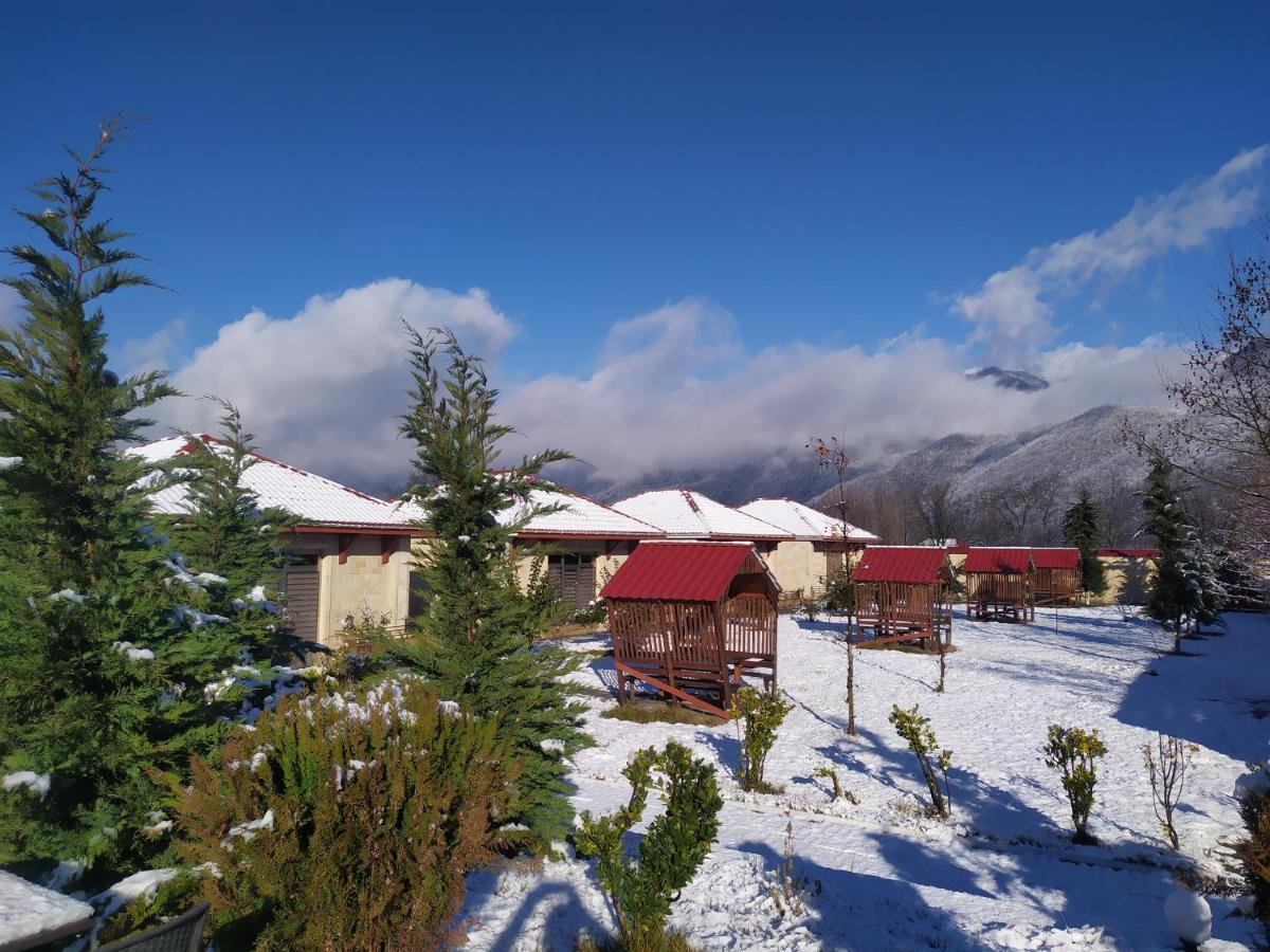 Bliss Inn Boutique Hotel Qəbələ Zewnętrze zdjęcie