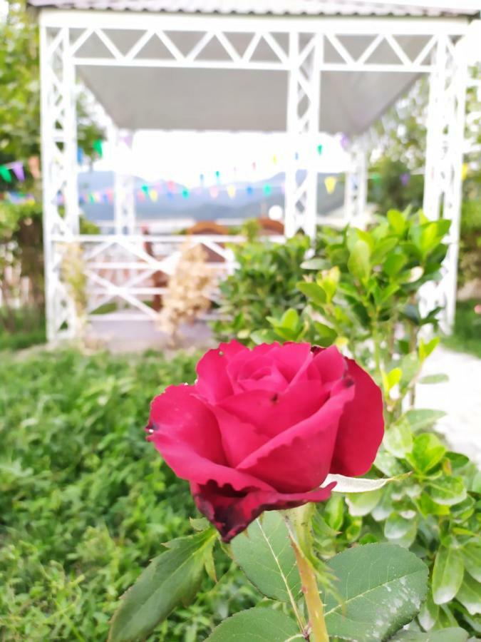 Bliss Inn Boutique Hotel Qəbələ Zewnętrze zdjęcie