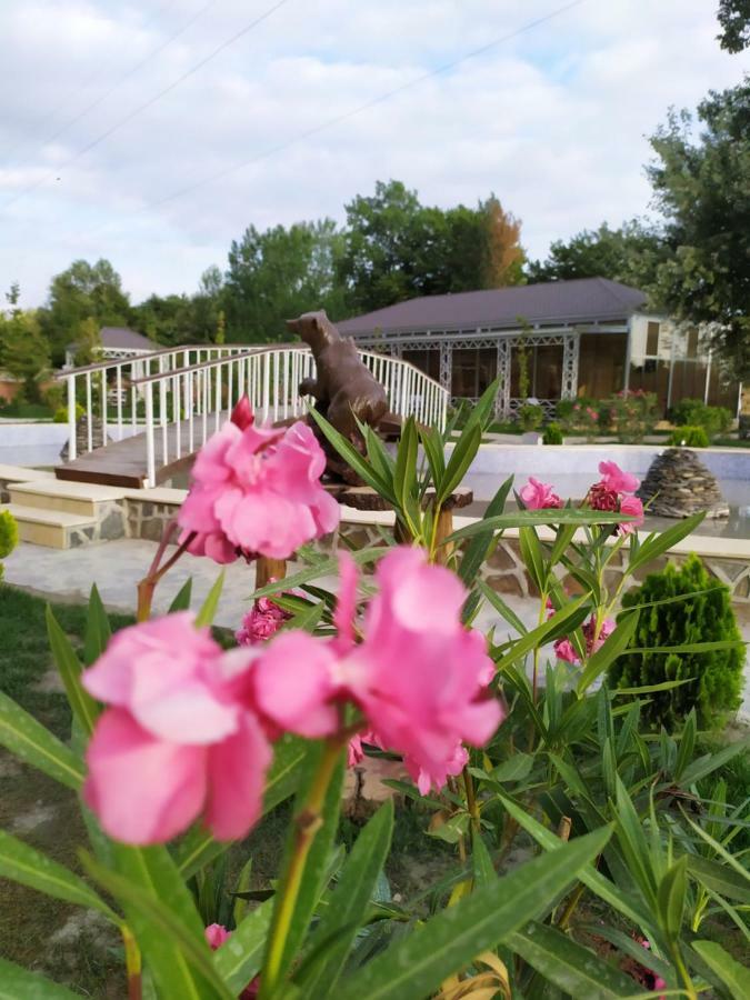 Bliss Inn Boutique Hotel Qəbələ Zewnętrze zdjęcie