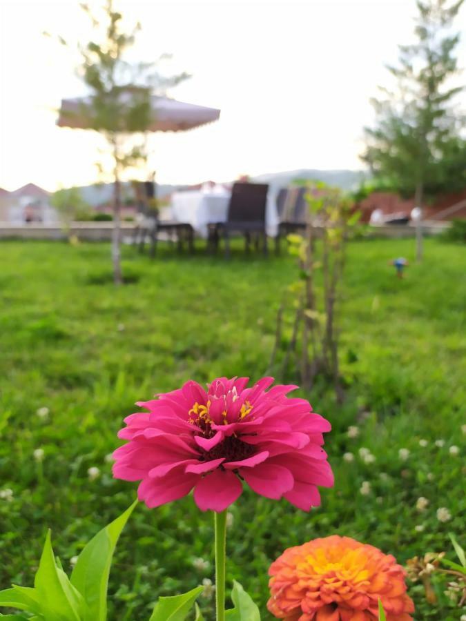 Bliss Inn Boutique Hotel Qəbələ Zewnętrze zdjęcie