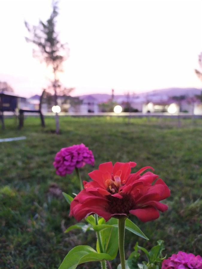 Bliss Inn Boutique Hotel Qəbələ Zewnętrze zdjęcie